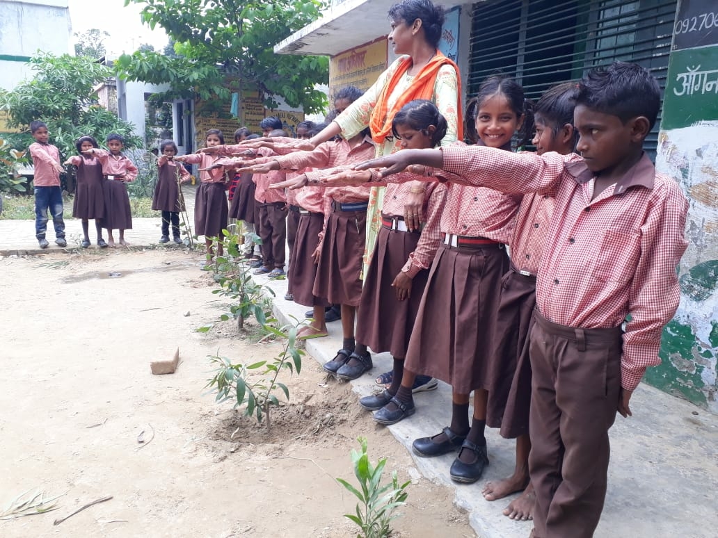 Plantation