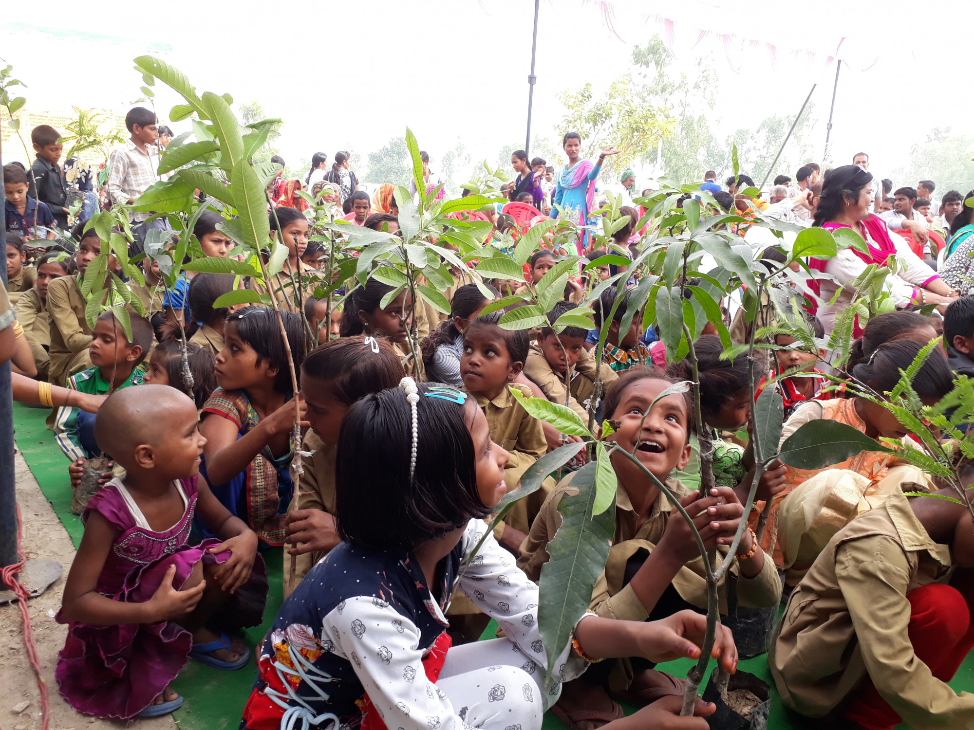 Donate a Tree